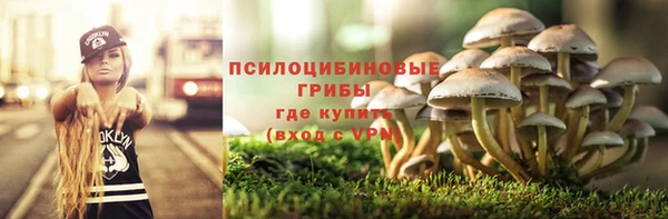 мяу мяу мука Алексин