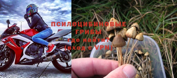 сатива Алексеевка