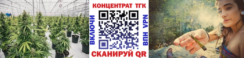 Купить  Тетюши  ТГК Wax 