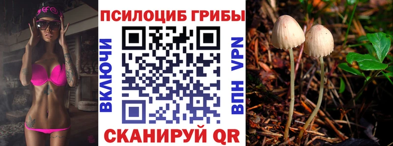 Купить закладки  Тетюши  Псилоцибиновые грибы Psilocybine cubensis 