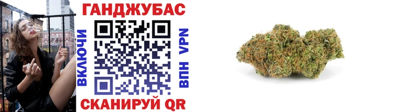 Конопля индика Тетюши